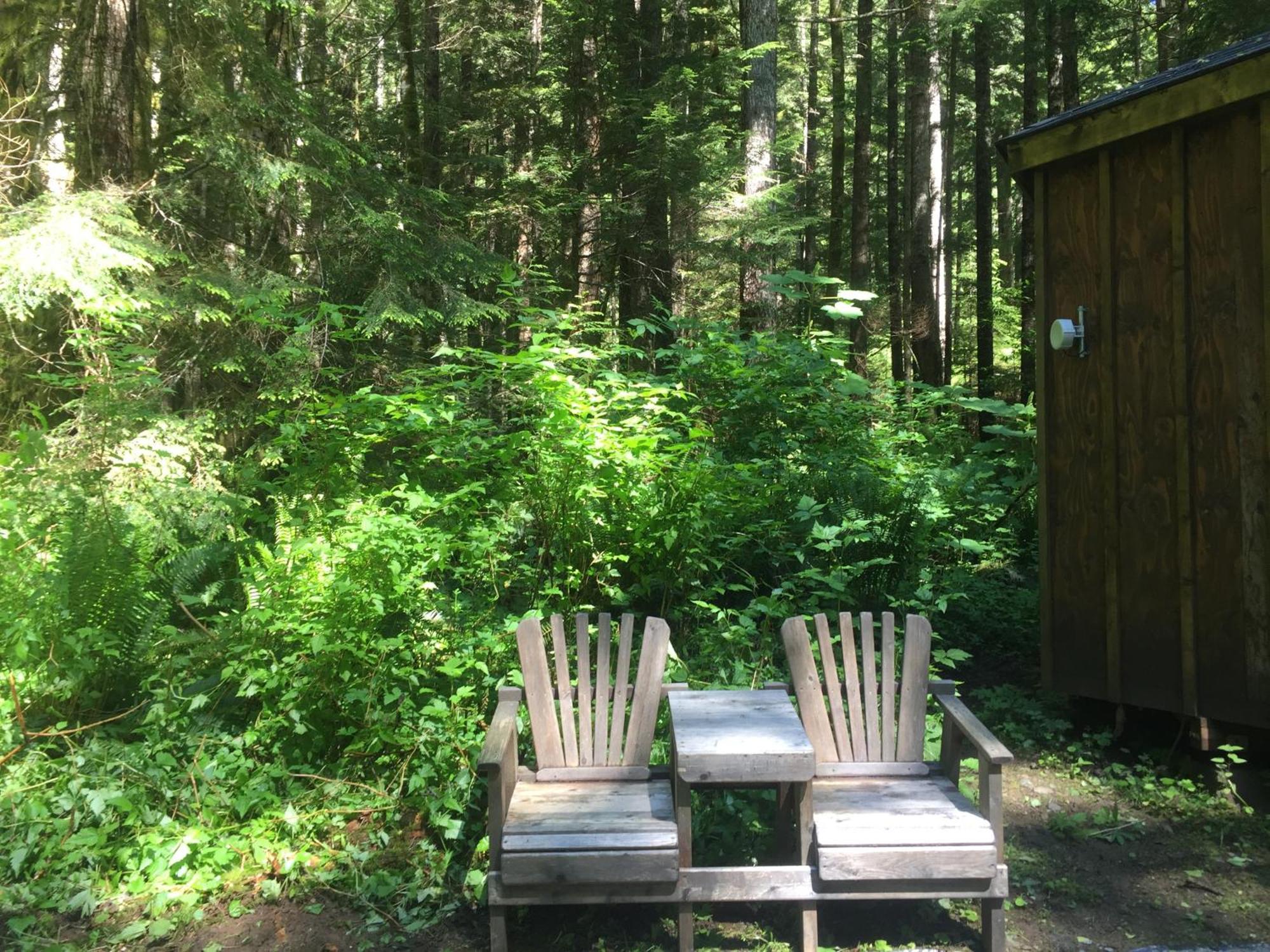 Alexander'S Lodge Ashford Buitenkant foto